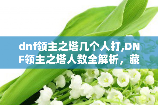 dnf领主之塔几个人打,DNF领主之塔人数全解析,藏在组队人数里的老玩家青春回忆 dnf领主之塔几个人打,DNF领主之塔人数全解析,藏在组队人数里的老玩家青春回忆