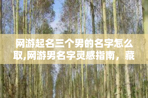 网游起名三个男的名字怎么取,网游男名字灵感指南,藏在ID里的少年意气与江湖浪漫 网游起名三个男的名字怎么取,网游男名字灵感指南,藏在ID里的少年意气与江湖浪漫
