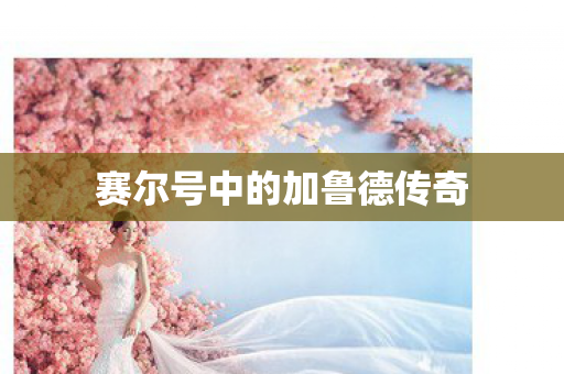 赛尔号中的加鲁德传奇图片