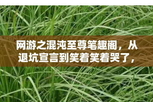 网游之混沌至尊笔趣阁,从退坑宣言到笑着笑着哭了,混沌至尊里的落差真相 网游之混沌至尊笔趣阁,从退坑宣言到笑着笑着哭了,混沌至尊里的落差真相