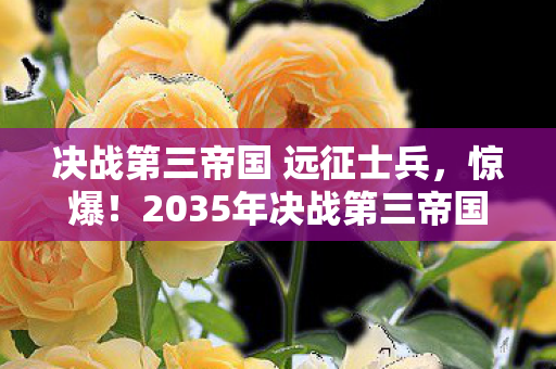 决战第三帝国 远征士兵,惊爆!2035年决战第三帝国,人类命运将何去何从? 决战第三帝国 远征士兵,惊爆!2035年决战第三帝国,人类命运将何去何从?