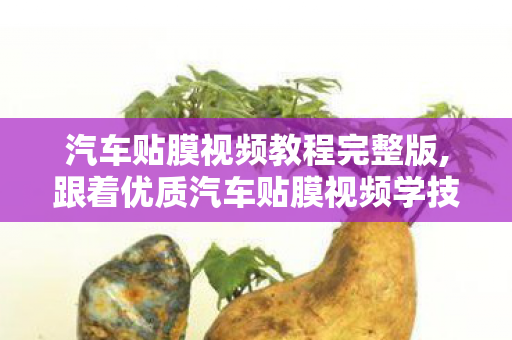 汽车贴膜视频教程完整版,跟着优质汽车贴膜视频学技巧,车主避坑与实操全攻略 汽车贴膜视频教程完整版,跟着优质汽车贴膜视频学技巧,车主避坑与实操全攻略