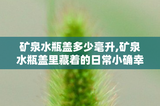矿泉水瓶盖多少毫升,矿泉水瓶盖里藏着的日常小确幸 矿泉水瓶盖多少毫升,矿泉水瓶盖里藏着的日常小确幸