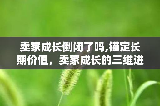 卖家成长倒闭了吗,锚定长期价值,卖家成长的三维进阶指南 卖家成长倒闭了吗,锚定长期价值,卖家成长的三维进阶指南