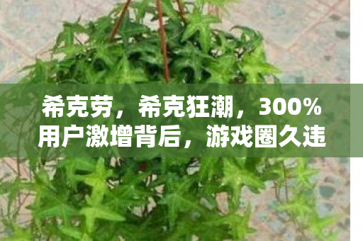 希克劳,希克狂潮,300%用户激增背后,游戏圈久违的颠覆性增长密码 希克劳,希克狂潮,300%用户激增背后,游戏圈久违的颠覆性增长密码