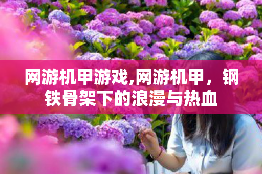 网游机甲游戏,网游机甲,钢铁骨架下的浪漫与热血 网游机甲游戏,网游机甲,钢铁骨架下的浪漫与热血