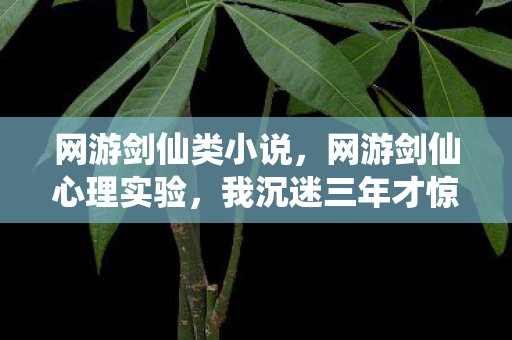 网游剑仙类小说,网游剑仙心理实验,我沉迷三年才惊觉,细思极恐的自我囚笼 网游剑仙类小说,网游剑仙心理实验,我沉迷三年才惊觉,细思极恐的自我囚笼