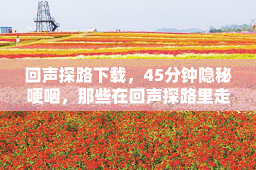 回声探路下载,45分钟隐秘哽咽,那些在回声探路里走丢的深夜 回声探路下载,45分钟隐秘哽咽,那些在回声探路里走丢的深夜