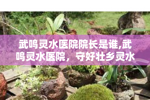 武鸣灵水医院院长是谁,武鸣灵水医院,守好壮乡灵水湖畔的民生健康岗 武鸣灵水医院院长是谁,武鸣灵水医院,守好壮乡灵水湖畔的民生健康岗