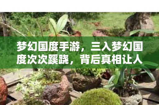 梦幻国度手游,三入梦幻国度次次蹊跷,背后真相让人后背发凉! 梦幻国度手游,三入梦幻国度次次蹊跷,背后真相让人后背发凉!