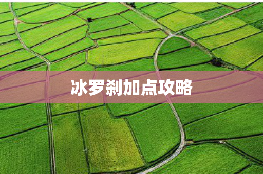 冰罗刹加点攻略图片