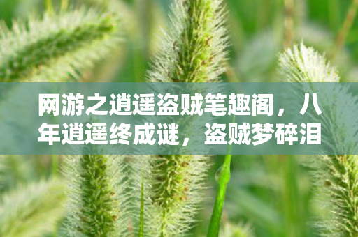 网游之逍遥盗贼笔趣阁,八年逍遥终成谜,盗贼梦碎泪目时——网游之终章 网游之逍遥盗贼笔趣阁,八年逍遥终成谜,盗贼梦碎泪目时——网游之终章