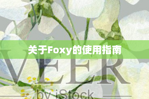 关于Foxy的使用指南图片