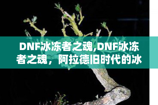 DNF冰冻者之魂,DNF冰冻者之魂,阿拉德旧时代的冰系传奇印记 DNF冰冻者之魂,DNF冰冻者之魂,阿拉德旧时代的冰系传奇印记