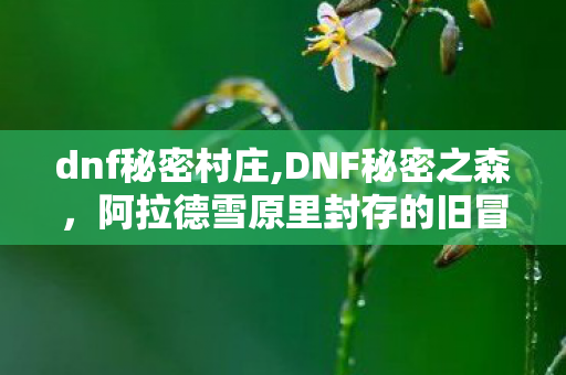 dnf秘密村庄,DNF秘密之森,阿拉德雪原里封存的旧冒险印记 dnf秘密村庄,DNF秘密之森,阿拉德雪原里封存的旧冒险印记