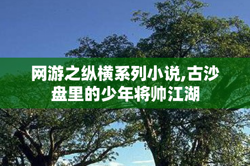 网游之纵横系列小说,古沙盘里的少年将帅江湖 网游之纵横系列小说,古沙盘里的少年将帅江湖