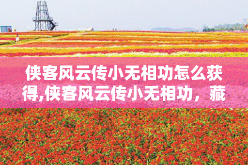 侠客风云传小无相功怎么获得,侠客风云传小无相功,藏在开放江湖里的武学浪漫 侠客风云传小无相功怎么获得,侠客风云传小无相功,藏在开放江湖里的武学浪漫
