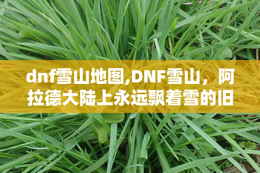 dnf雪山地图,DNF雪山,阿拉德大陆上永远飘着雪的旧时光锚点 dnf雪山地图,DNF雪山,阿拉德大陆上永远飘着雪的旧时光锚点