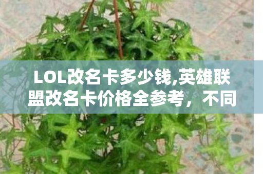 LOL改名卡多少钱,英雄联盟改名卡价格全参考,不同入手场景的成本明细 LOL改名卡多少钱,英雄联盟改名卡价格全参考,不同入手场景的成本明细
