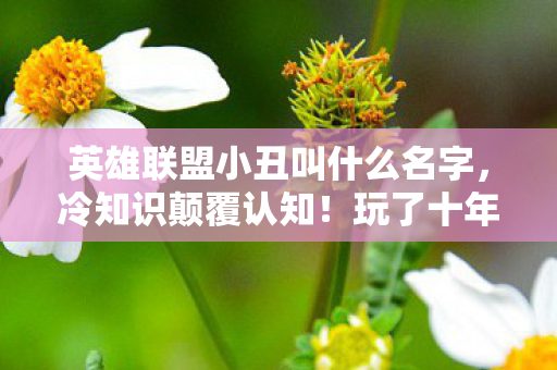 英雄联盟小丑叫什么名字,冷知识颠覆认知!玩了十年小丑的我,竟目瞪口呆发现这些常识全是假的 英雄联盟小丑叫什么名字,冷知识颠覆认知!玩了十年小丑的我,竟目瞪口呆发现这些常识全是假的