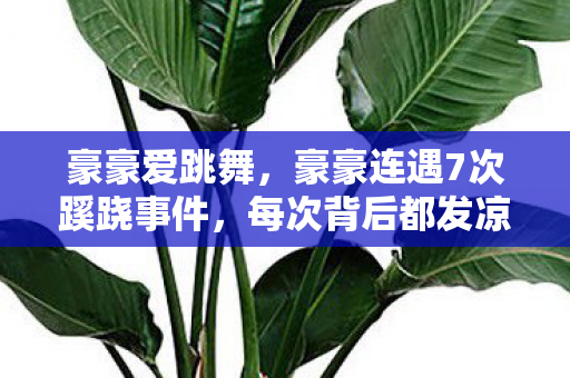 豪豪爱跳舞,豪豪连遇7次蹊跷事件,每次背后都发凉,真相细思极恐! 豪豪爱跳舞,豪豪连遇7次蹊跷事件,每次背后都发凉,真相细思极恐!