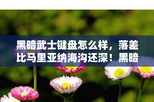 黑暗武士键盘怎么样,落差比马里亚纳海沟还深!黑暗武士真相,笑着骂它丑,哭着充月卡 黑暗武士键盘怎么样,落差比马里亚纳海沟还深!黑暗武士真相,笑着骂它丑,哭着充月卡