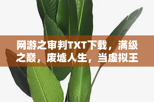网游之审判TXT下载,满级之巅,废墟人生,当虚拟王者邂逅现实荒漠的悖论震颤 网游之审判TXT下载,满级之巅,废墟人生,当虚拟王者邂逅现实荒漠的悖论震颤