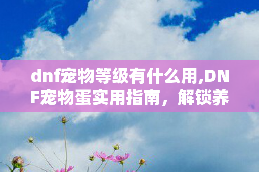 dnf宠物等级有什么用,DNF宠物蛋实用指南,解锁养成路上的多重增益效果 dnf宠物等级有什么用,DNF宠物蛋实用指南,解锁养成路上的多重增益效果
