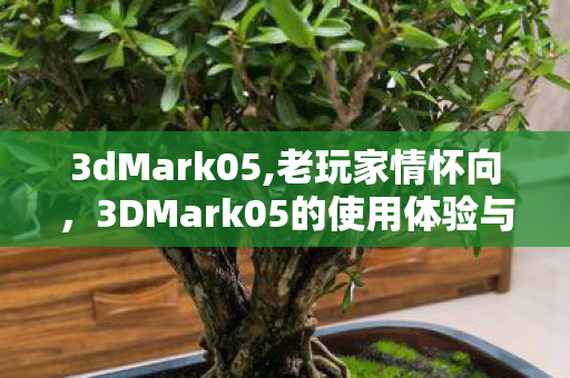 3dMark05,老玩家情怀向,3DMark05的使用体验与正版激活相关指南 3dMark05,老玩家情怀向,3DMark05的使用体验与正版激活相关指南