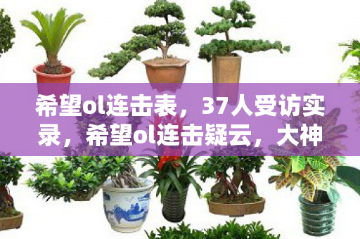 希望ol连击表,37人受访实录,希望ol连击疑云,大神绷不住泪洒网吧 希望ol连击表,37人受访实录,希望ol连击疑云,大神绷不住泪洒网吧