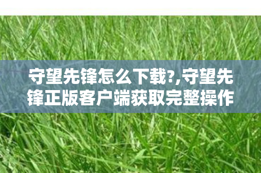 守望先锋怎么下载?,守望先锋正版客户端获取完整操作指南 守望先锋怎么下载?,守望先锋正版客户端获取完整操作指南