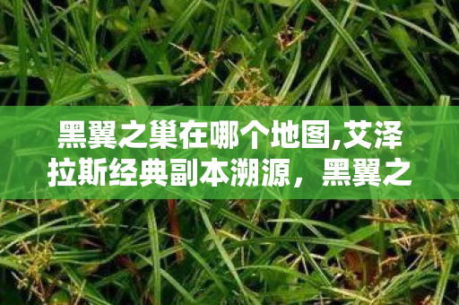 黑翼之巢在哪个地图,艾泽拉斯经典副本溯源，黑翼之巢的所在与传奇过往