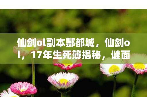 仙剑ol副本酆都城，仙剑ol，17年生死簿揭秘，谜面终解时泪目成碑