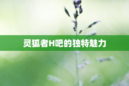 灵狐者H吧的独特魅力图片