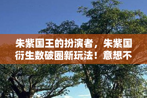 朱紫国王的扮演者，朱紫国衍生数破圈新玩法！意想不到跨界联名席卷潮流圈