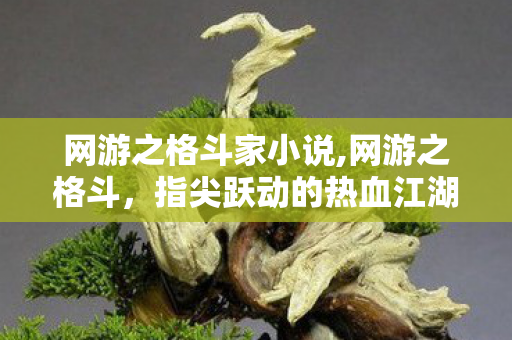 网游之格斗家小说,网游之格斗,指尖跃动的热血江湖 网游之格斗家小说,网游之格斗,指尖跃动的热血江湖