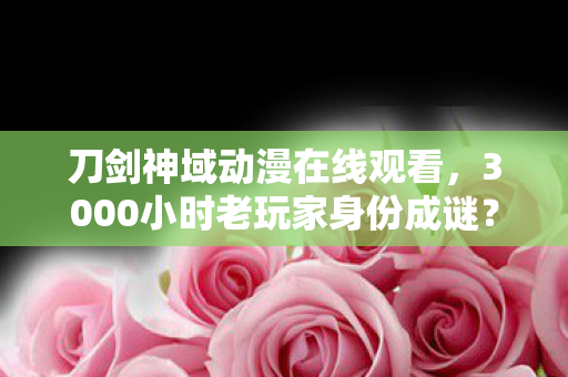 刀剑神域动漫在线观看,3000小时老玩家身份成谜?刀剑神域多平台玩家的心酸独白 刀剑神域动漫在线观看,3000小时老玩家身份成谜?刀剑神域多平台玩家的心酸独白