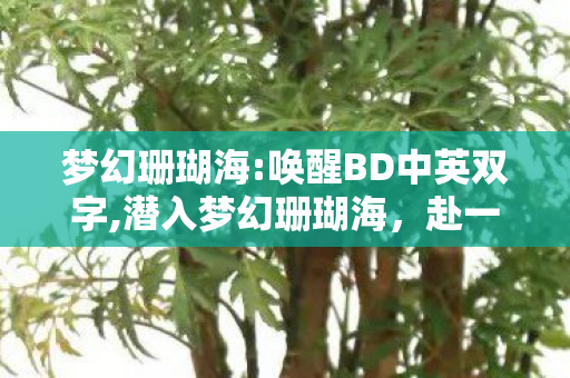 梦幻珊瑚海:唤醒BD中英双字,潜入梦幻珊瑚海,赴一场深蓝褶皱里的彩色绮梦 梦幻珊瑚海:唤醒BD中英双字,潜入梦幻珊瑚海,赴一场深蓝褶皱里的彩色绮梦