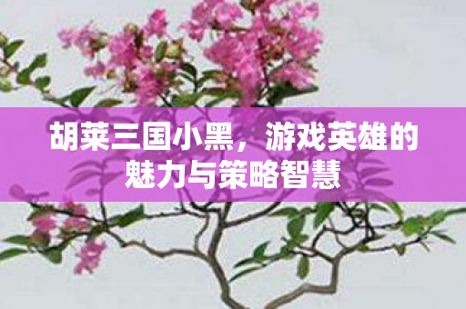 游戏英雄的魅力与策略智慧图片