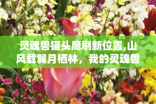灵魂兽猫头鹰刷新位置,山风载翼月栖林，我的灵魂兽猫头鹰奇遇