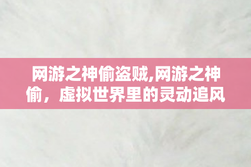 网游之神偷盗贼,网游之神偷，虚拟世界里的灵动追风者