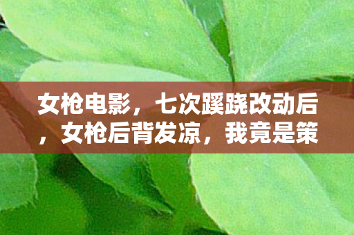 女枪电影，七次蹊跷改动后，女枪后背发凉，我竟是策划最忠实的提线木偶？