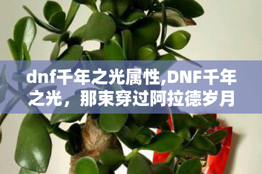 dnf千年之光属性,DNF千年之光，那束穿过阿拉德岁月的纯白剑光