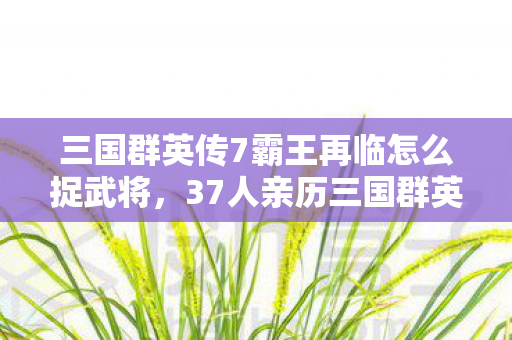 三国群英传7霸王再临怎么捉武将，37人亲历三国群英传7霸王再临惊现时间裂缝？网吧老炮儿集体绷不住了！