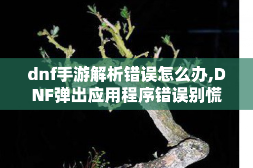 dnf手游解析错误怎么办,DNF弹出应用程序错误别慌!全场景实用排查修复指南 dnf手游解析错误怎么办,DNF弹出应用程序错误别慌!全场景实用排查修复指南