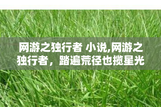 网游之独行者 小说,网游之独行者,踏遍荒径也揽星光 网游之独行者 小说,网游之独行者,踏遍荒径也揽星光