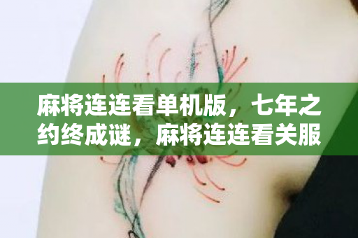 麻将连连看单机版,七年之约终成谜,麻将连连看关服泪目,那些消失的牌局与青春 麻将连连看单机版,七年之约终成谜,麻将连连看关服泪目,那些消失的牌局与青春