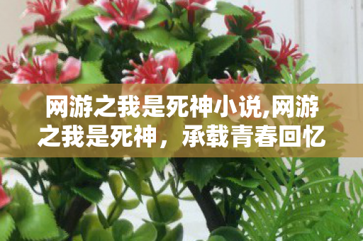 网游之我是死神小说,网游之我是死神,承载青春回忆的特色网游文经典 网游之我是死神小说,网游之我是死神,承载青春回忆的特色网游文经典