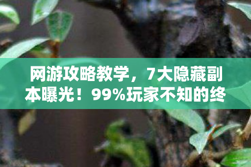 网游攻略教学,7大隐藏副本曝光!99%玩家不知的终极通关密码竟是…… 网游攻略教学,7大隐藏副本曝光!99%玩家不知的终极通关密码竟是……