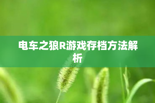 电车之狼R游戏存档方法解析图片